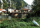 Altwasser bei Markt Essing, Kanal-km 161 : Brücke, Altarm, Ortschaft, Schwan